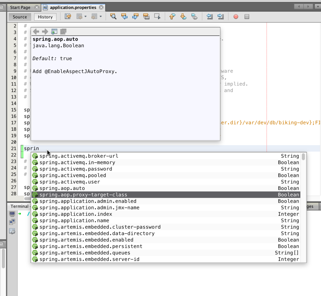 netbeans spring boot