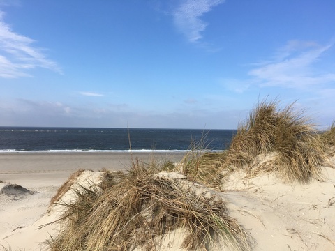 Zeeland 2017